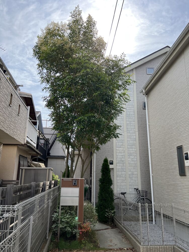 画像1608