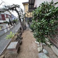 画像1623