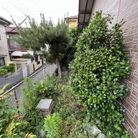 画像1625