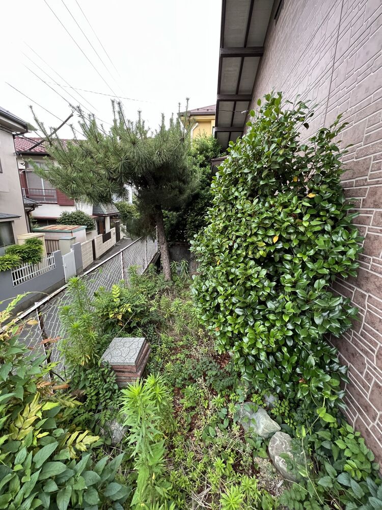 画像1625
