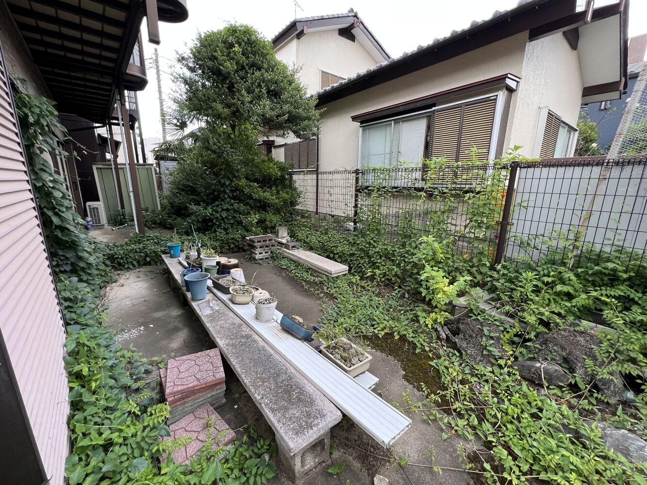 画像1626
