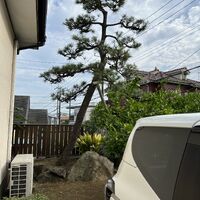 画像1628