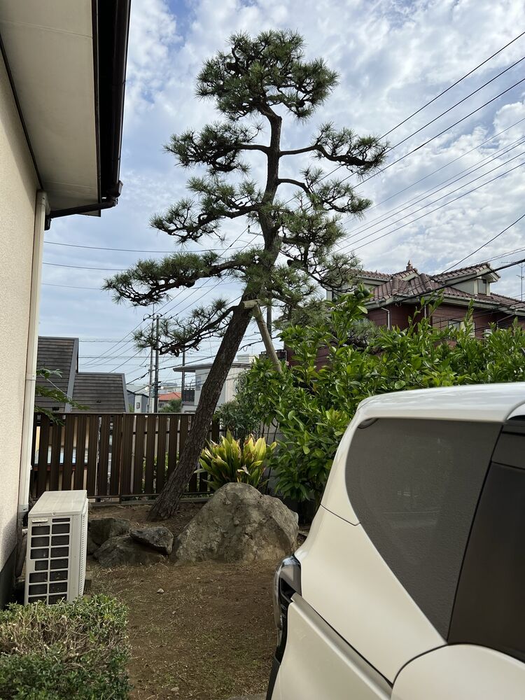 画像1628
