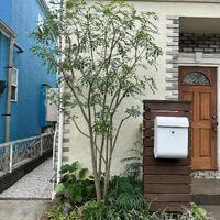 画像1631