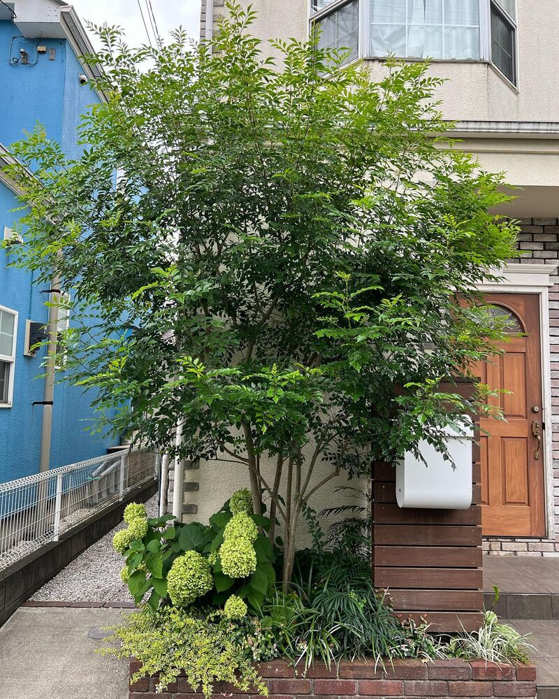 画像1632