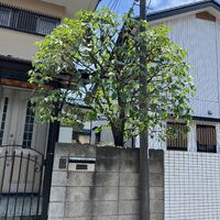 画像1634