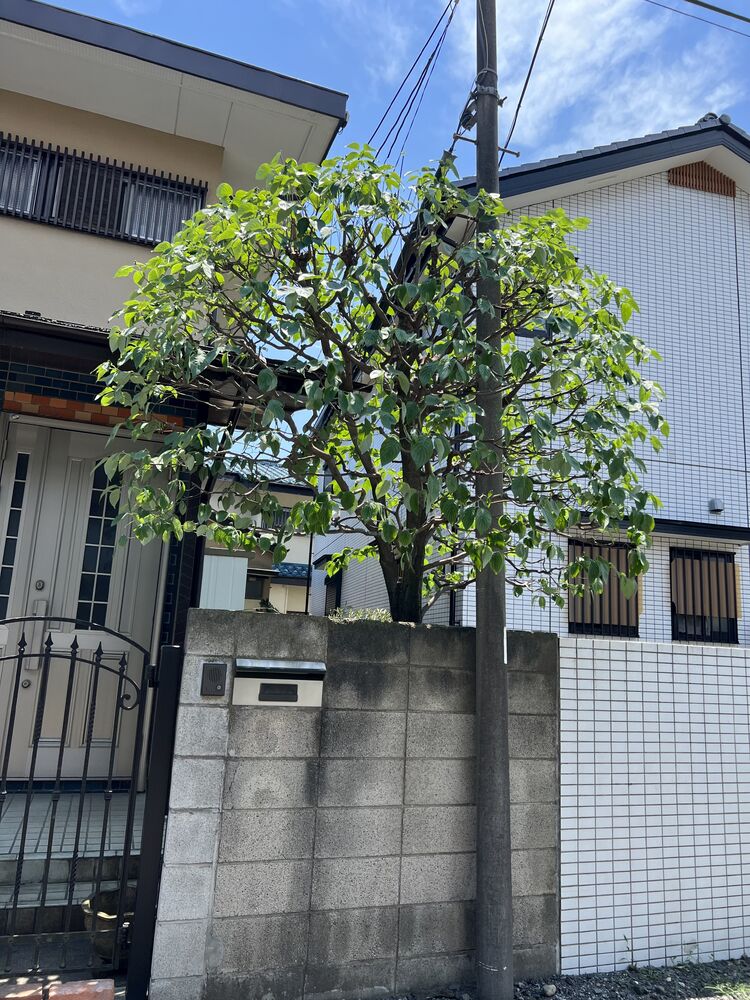 画像1634