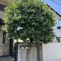画像1635