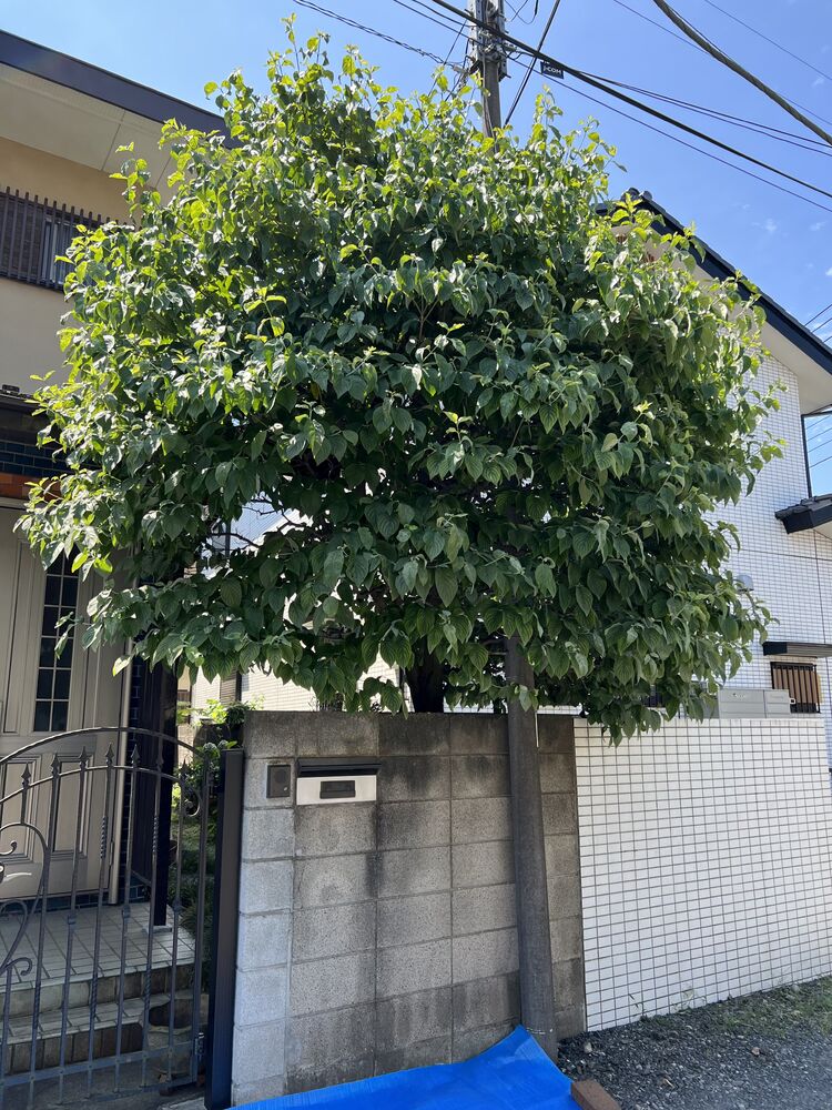 画像1635