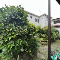 画像1639