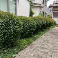 画像1645