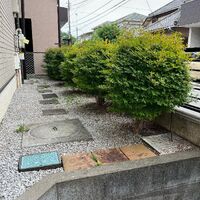 画像1646