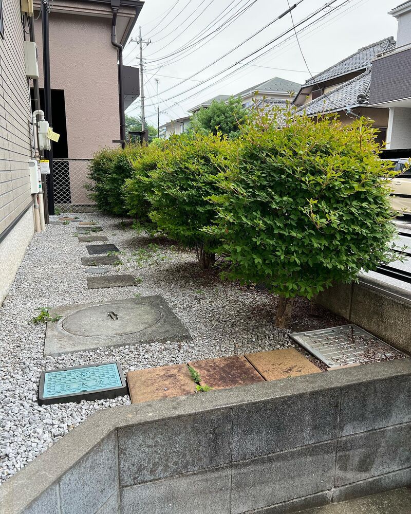 画像1646