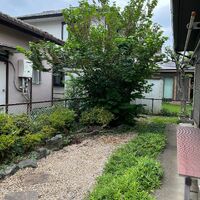 画像1647