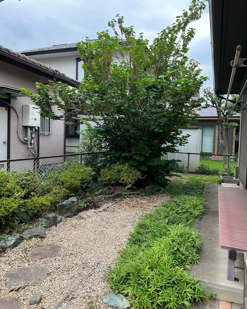 画像1647