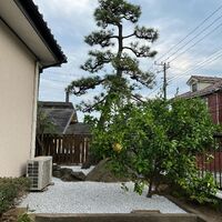 画像1652