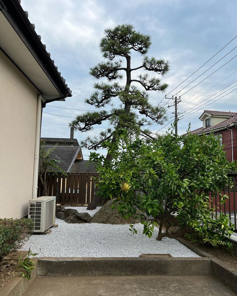 画像1652