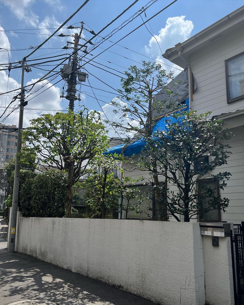 画像1658