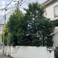 画像1659