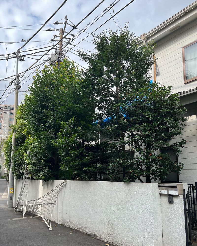 画像1659