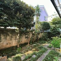 画像1665