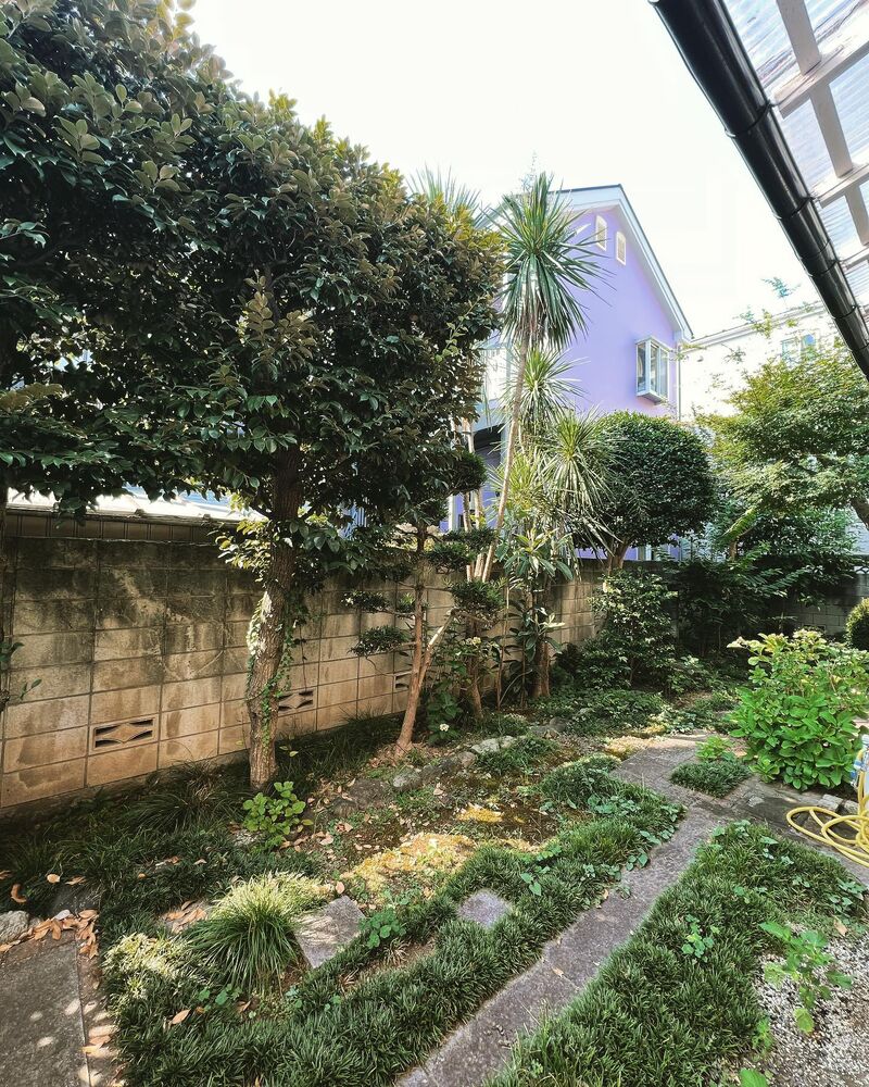 画像1665