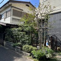 画像1709