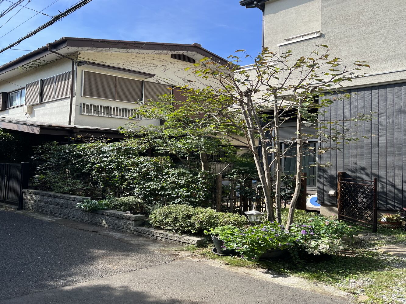 画像1709