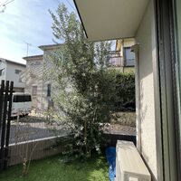 画像1716