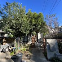 画像1719