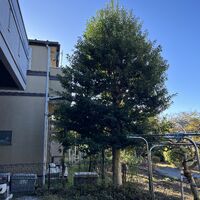 画像1729