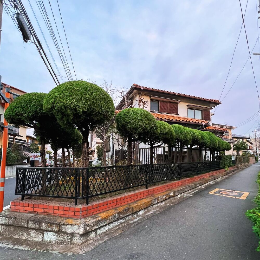 画像1747