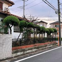 画像1748