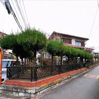 画像1750