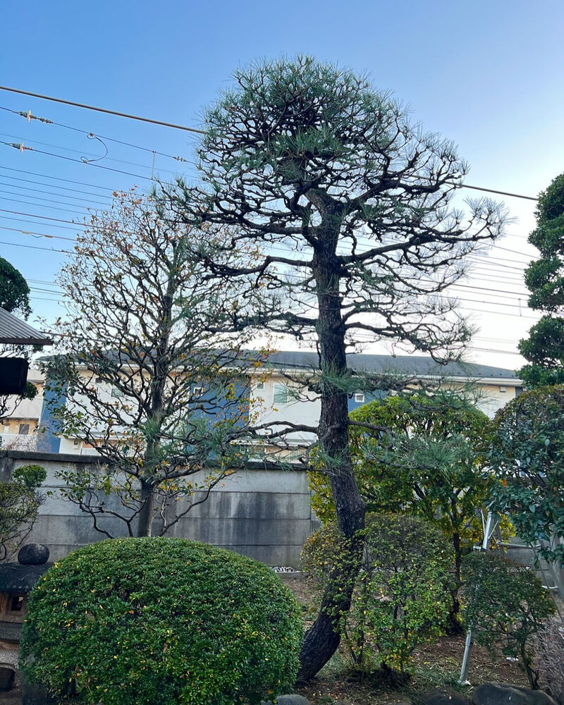 画像1752