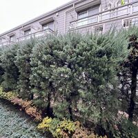 画像1801
