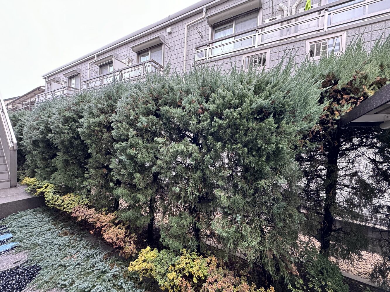 画像1801
