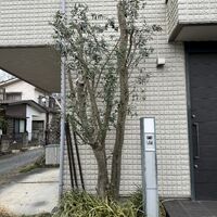 画像1804