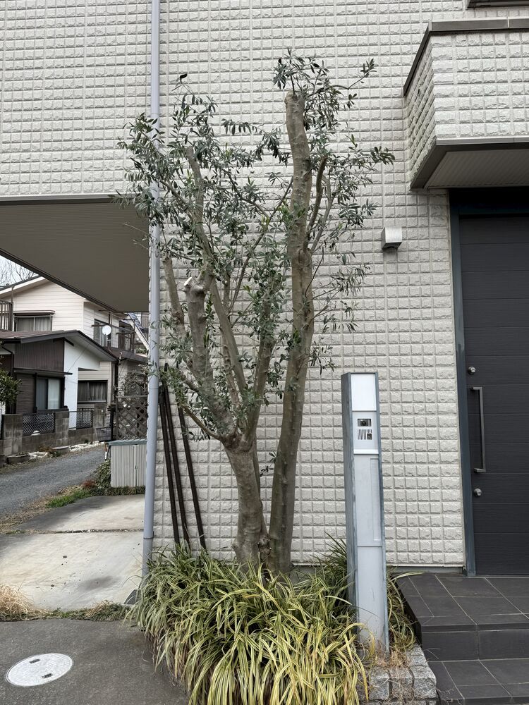 画像1804