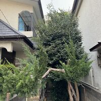 画像1810