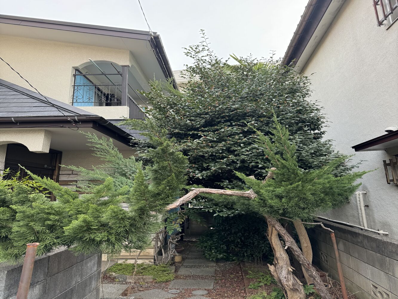 画像1810