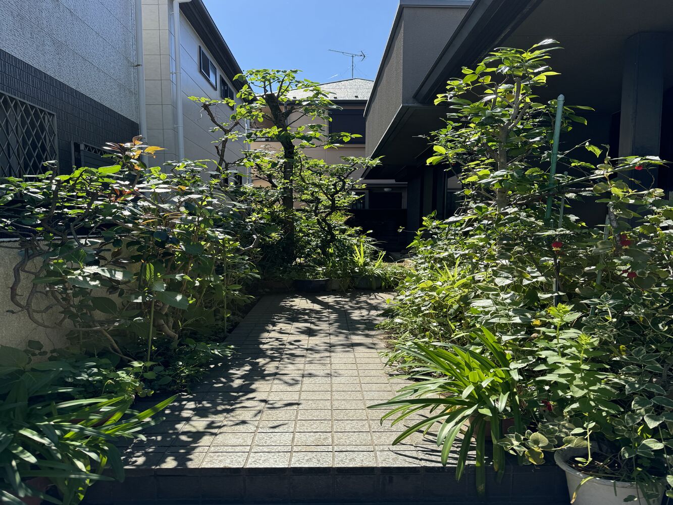 画像1868