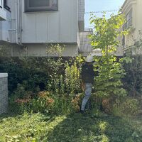 画像2021