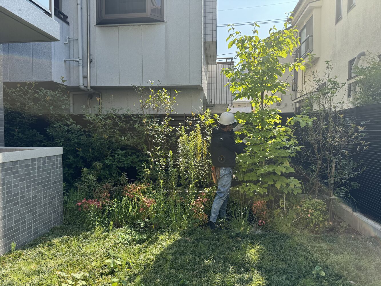 画像2021
