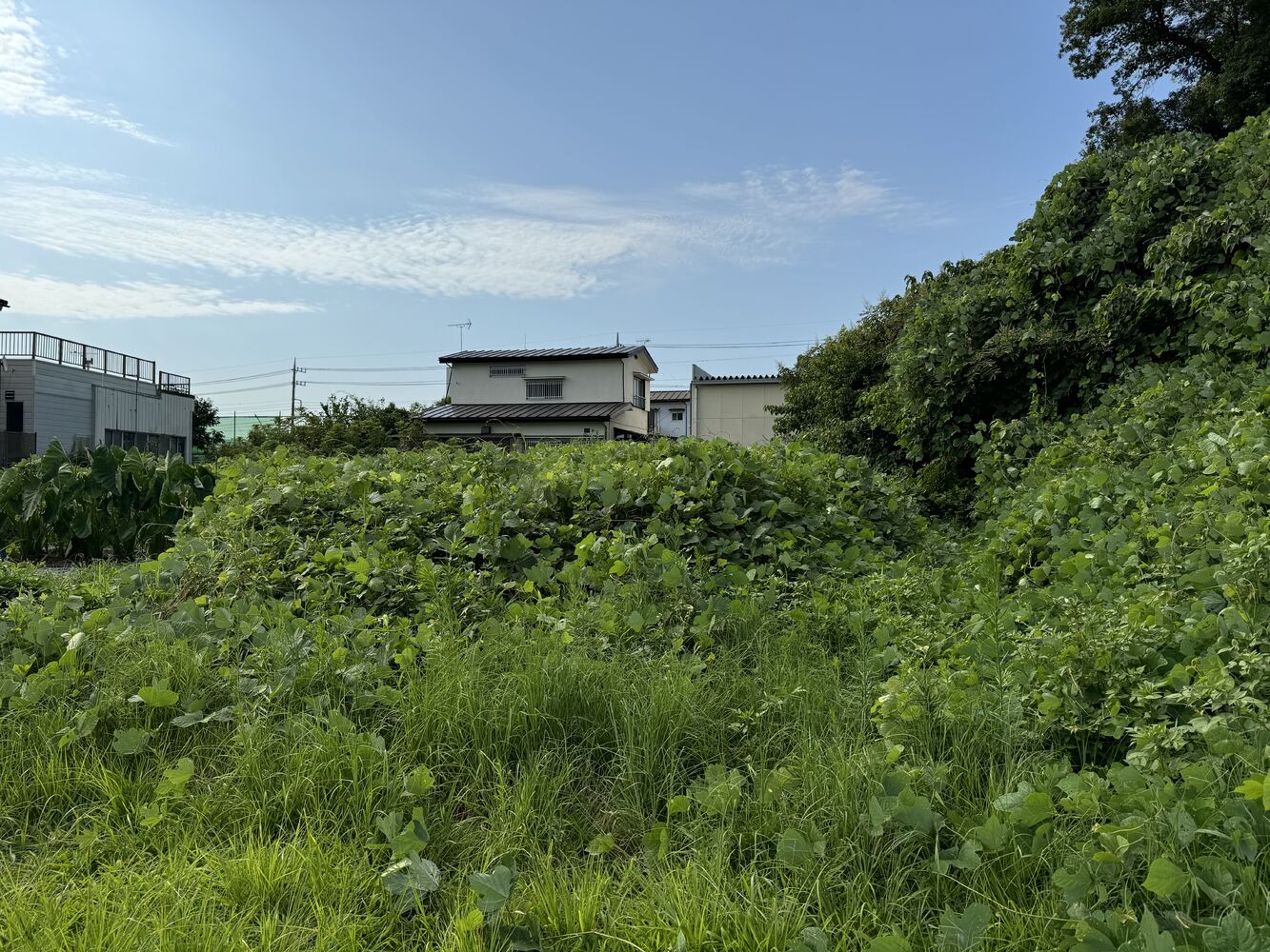 画像2025