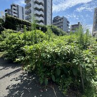 画像2028