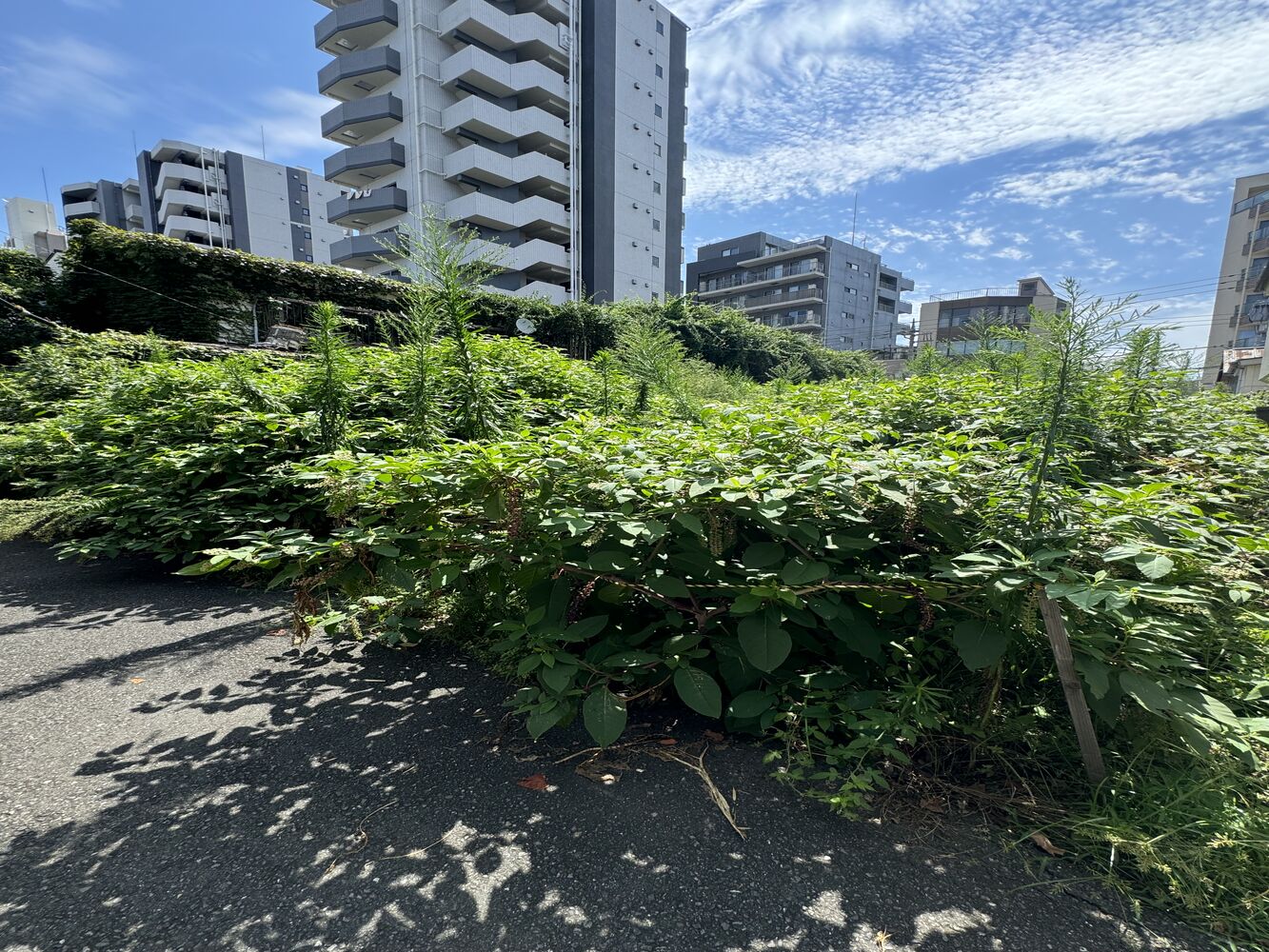 画像2028