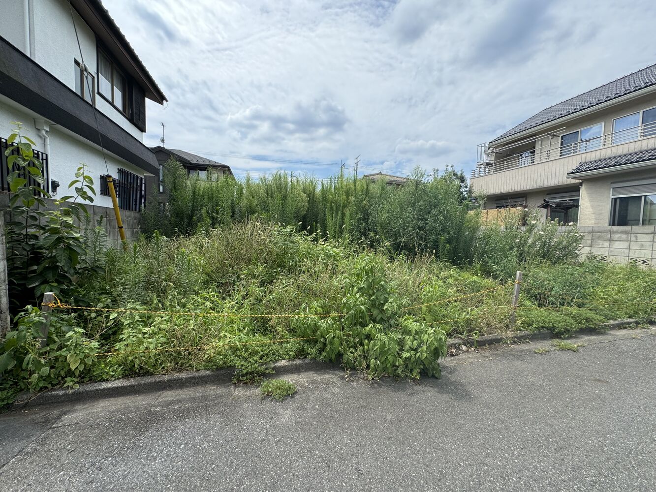 画像2031