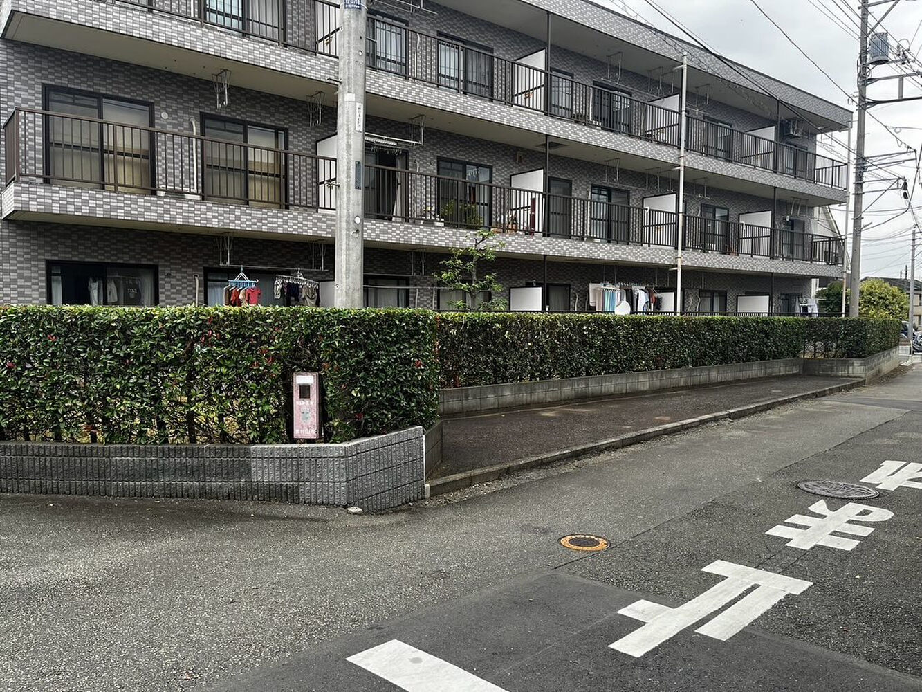 画像2081