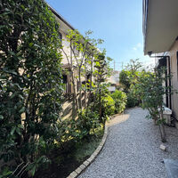画像2288